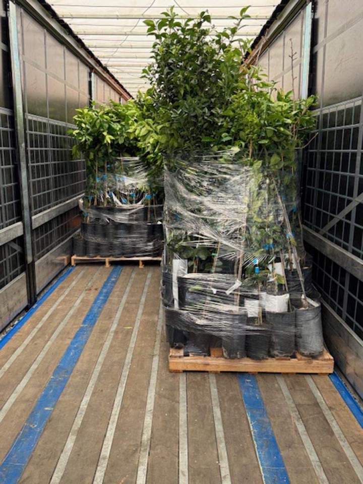 Service de transport transfrontalier France Espagne