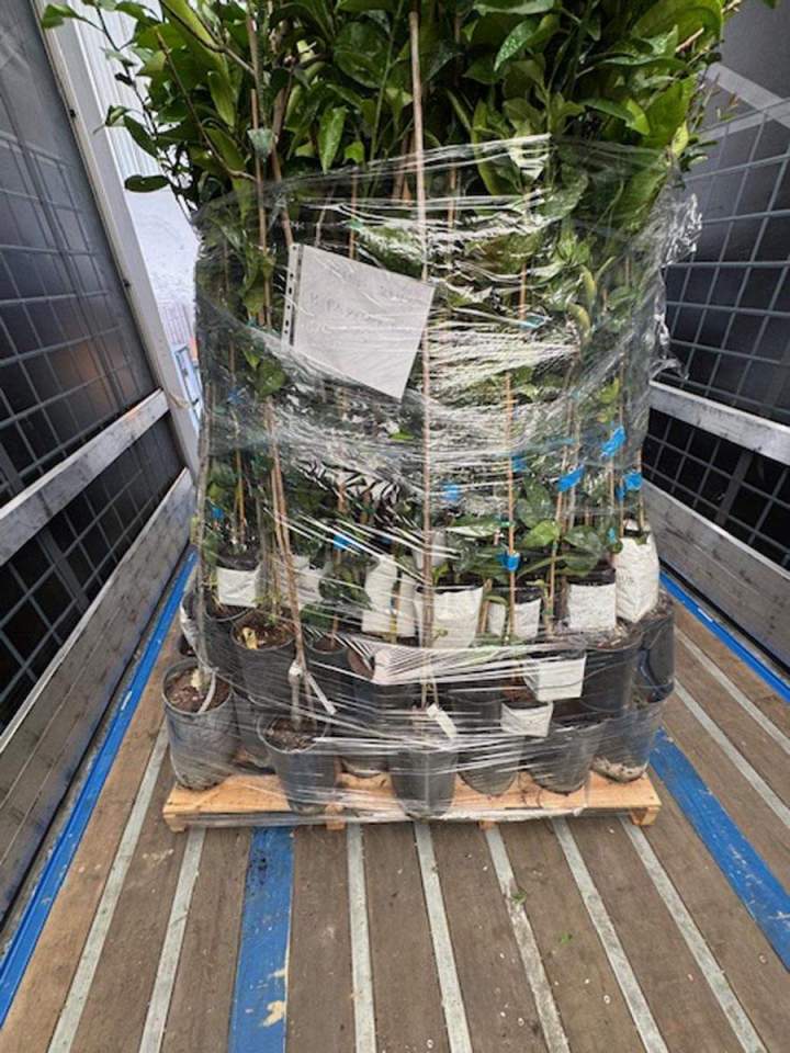 Transport express France Espagne